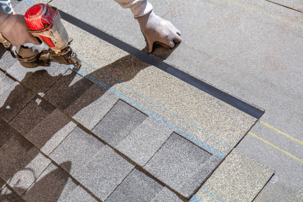 Best Roof Gutter Cleaning  in Brush Prairie, WA
